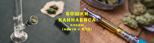 бошки Бородино