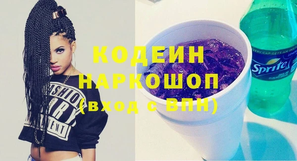 бошки Бородино