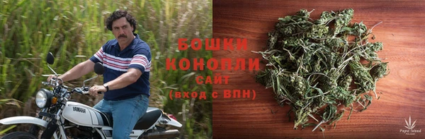 ECSTASY Бронницы