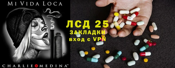 бошки Бородино