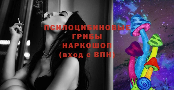 бошки Бородино