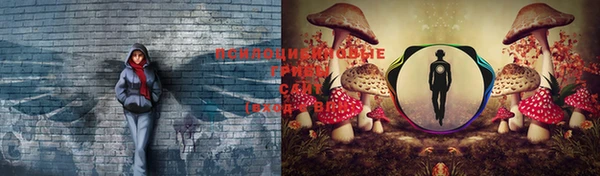 бошки Бородино