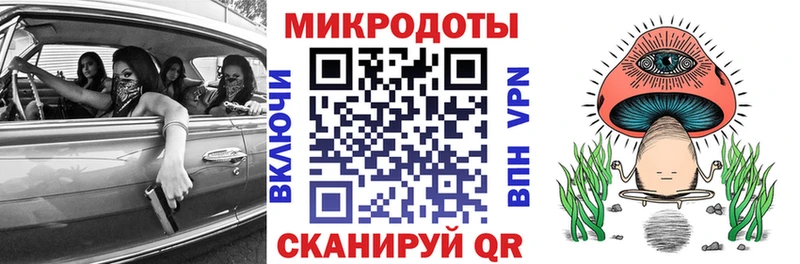 Купить где Высоцк Псилоцибиновые грибы Psilocybine cubensis